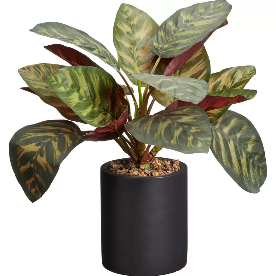 Kwantum Kunstplant Calathea Groen | Kunstplanten & Kunstbloemen