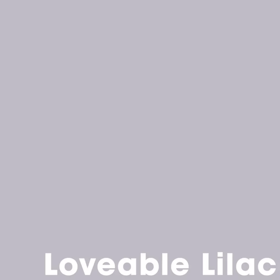 Kwantum Muurverf Professional Loveable Lilac 1 L | Muurverf