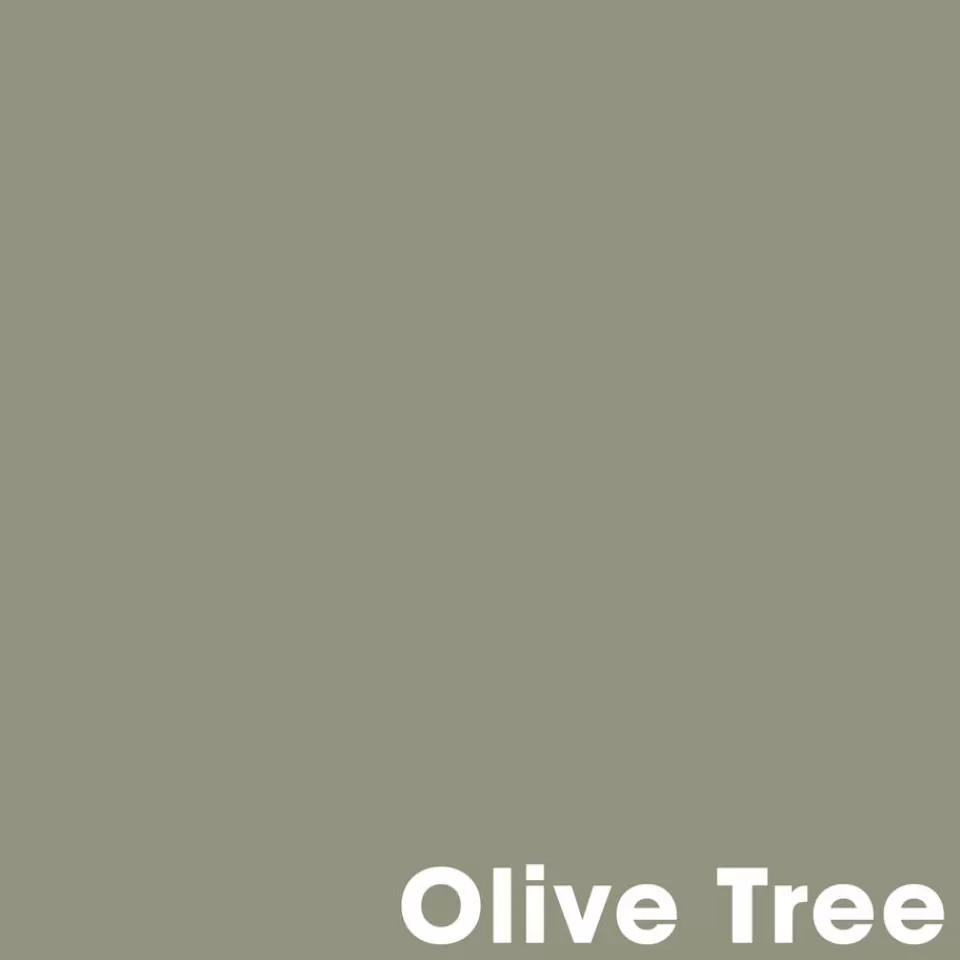 Kwantum Muurverf Professional Olive Tree 1 L | Muurverf